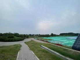 06360491a3a8ef0629b3f956076c333