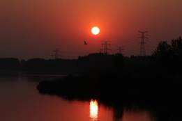 d21bfb64b14e8c4dfedee04e1603e00